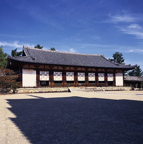 Daikodo