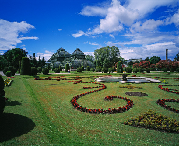 Casa Palmierilor Schonbrunn
