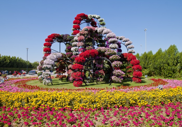 Miracle Garden