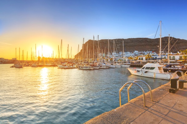 Apus in Puerto de Mogan, Gran Canaria