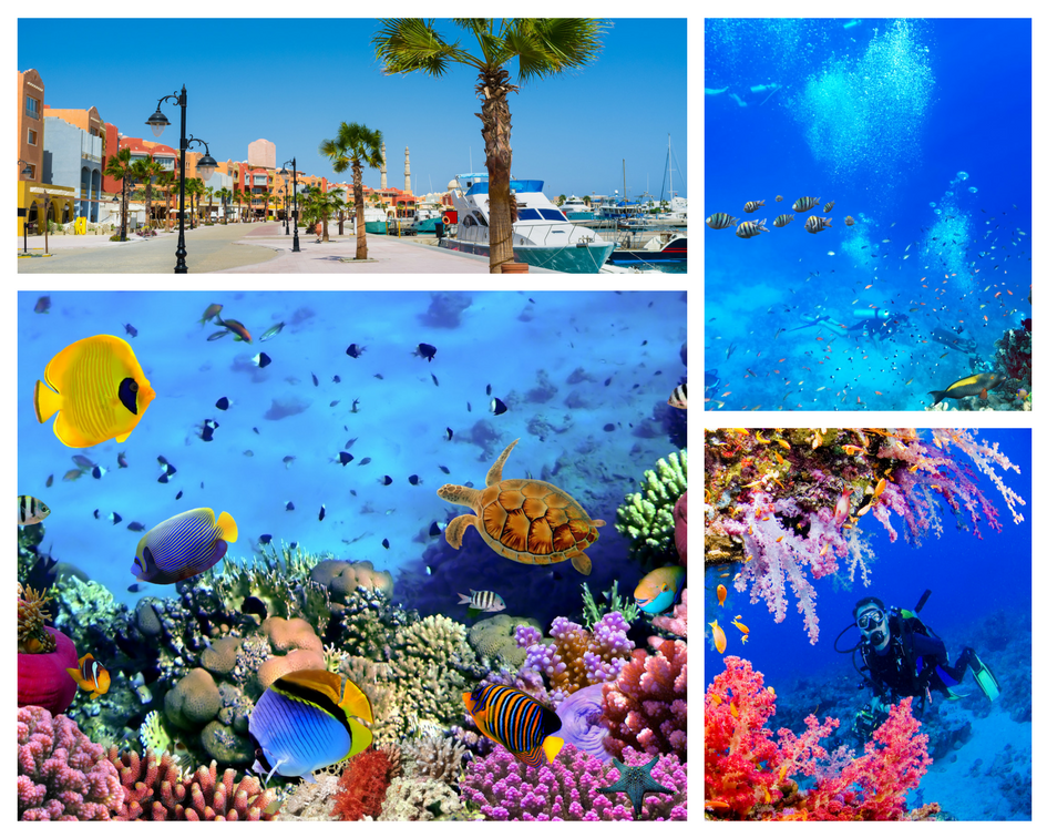 hurghada corali